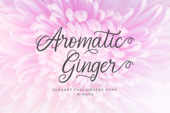 Aromatic Ginger Calligraphy Font