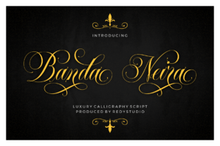 Discover the Beauty of Banda Neira: A Playful, Elegant Handwritten Font